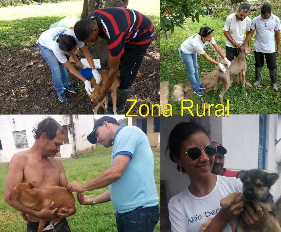 Vacinação
